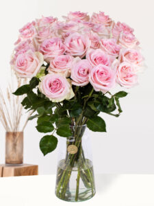 Vorige productafbeelding