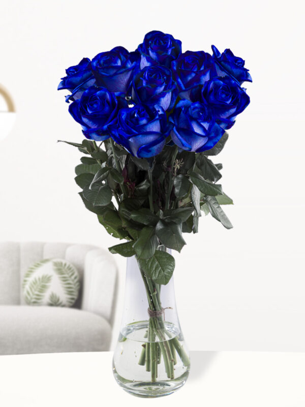 10 blauwe rozen - XL rozen