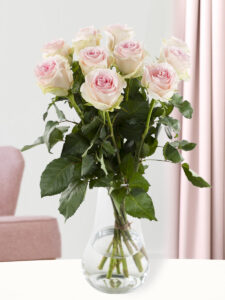 Volgende productafbeelding