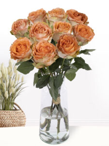 Volgende productafbeelding