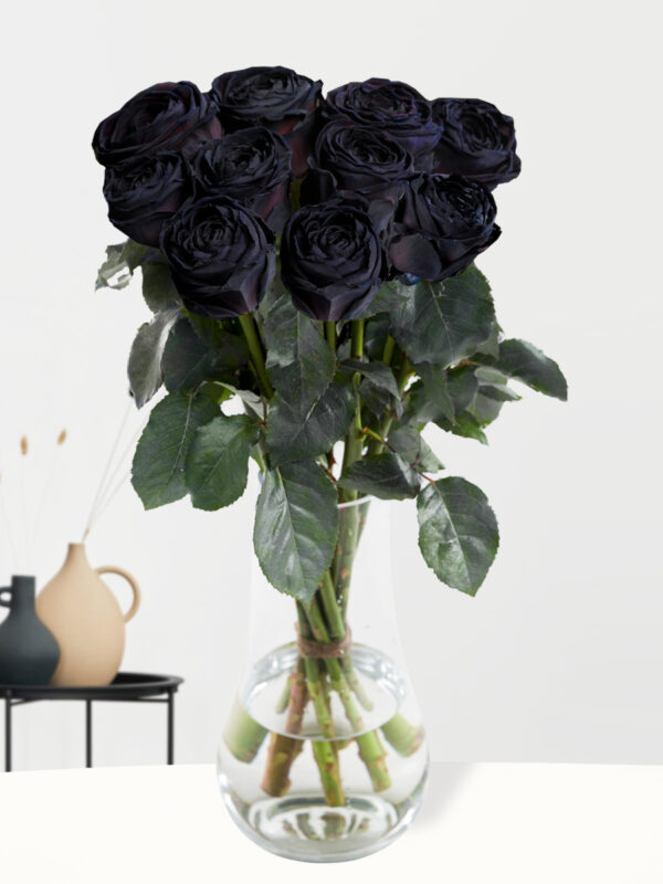 10 zwarte rozen - XL rozen