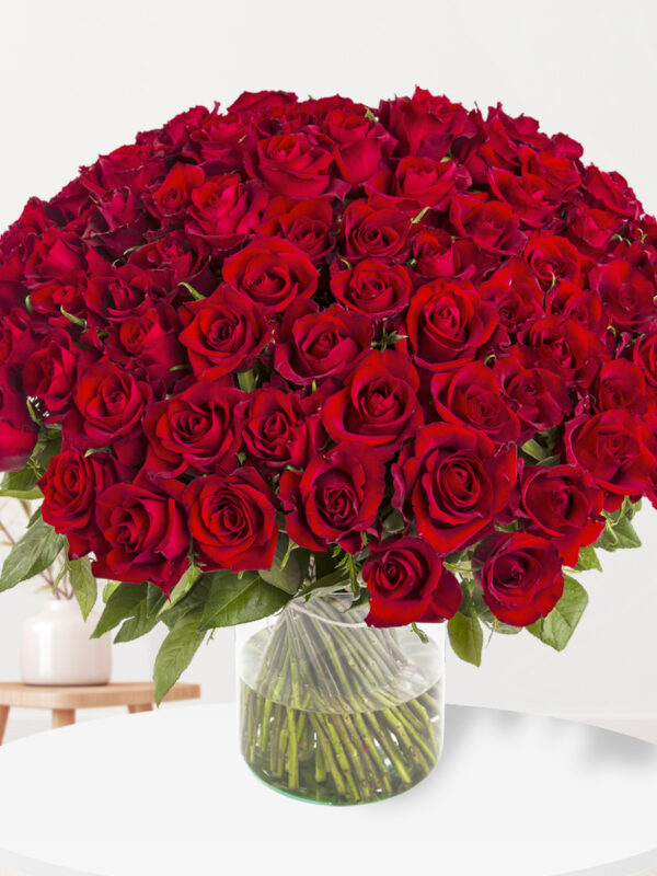 100 rode rozen - XL rozen - EverRed
