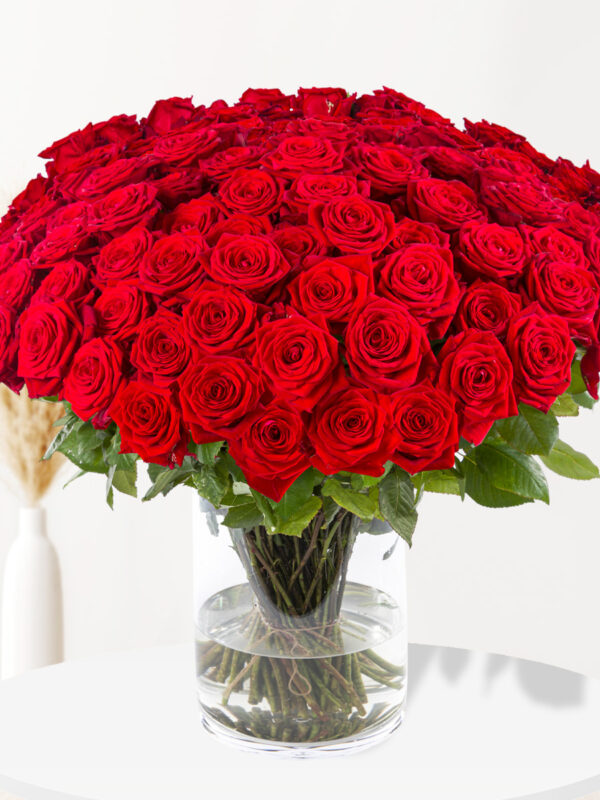 100 rode rozen - premium rozen - Red Naomi