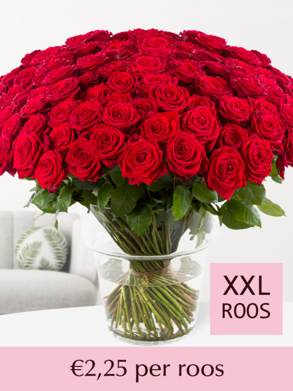 100 tot en met 499 rode rozen - XXL rozen - Red Naomi