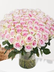 Vorige productafbeelding