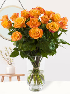 Volgende productafbeelding