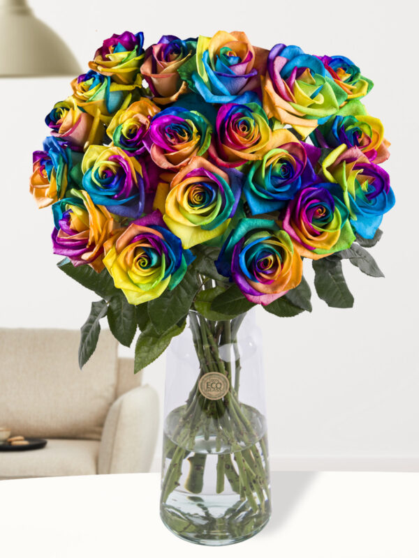 20 regenboog rozen - XL rozen