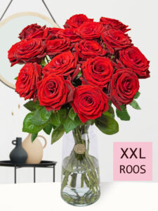 Volgende productafbeelding