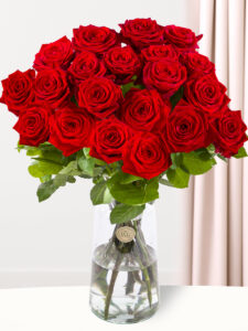 Vorige productafbeelding