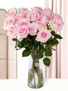 Vorige productafbeelding