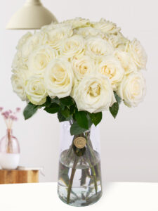 Volgende productafbeelding