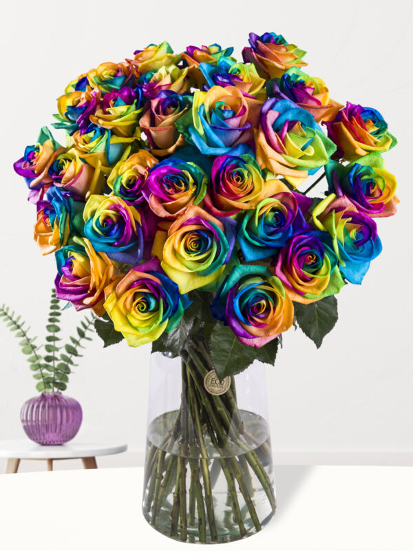 30 regenboog rozen - XL rozen