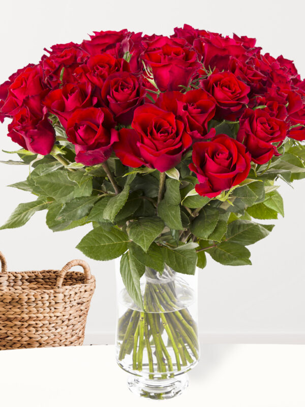 30 rode rozen - XL rozen - EverRed