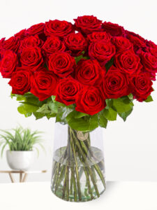 Vorige productafbeelding