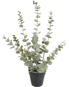 Vorige productafbeelding