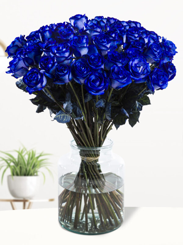 50 blauwe rozen - XL rozen