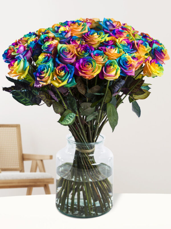 50 regenboog rozen - XL rozen