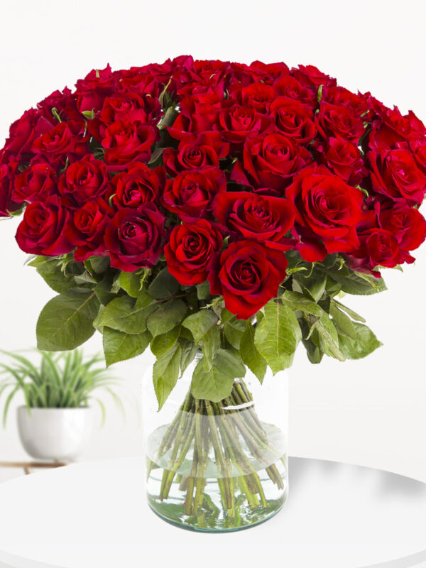 50 rode rozen - XL rozen - EverRed