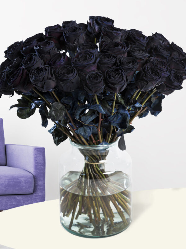 50 zwarte rozen - XL rozen
