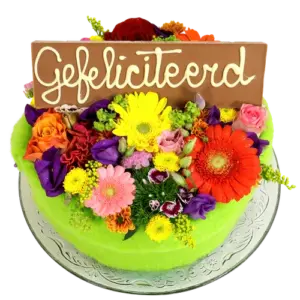 Product afbeelding