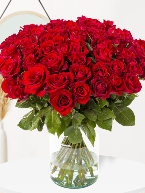 80 rode rozen - XL rozen - EverRed