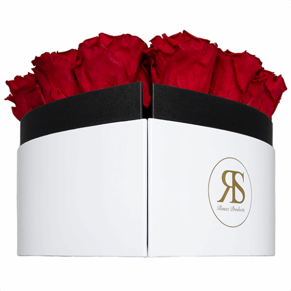 Flowerbox longlife Lana
