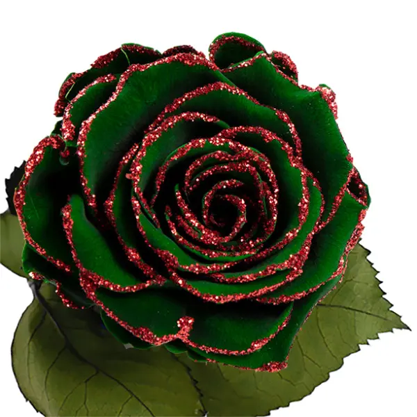 Longlife roos groen rode glitter
