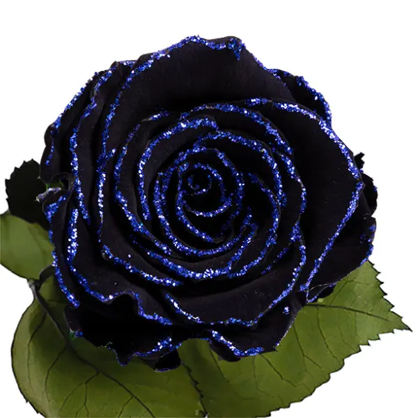 Longlife roos zwart blauwe glitter