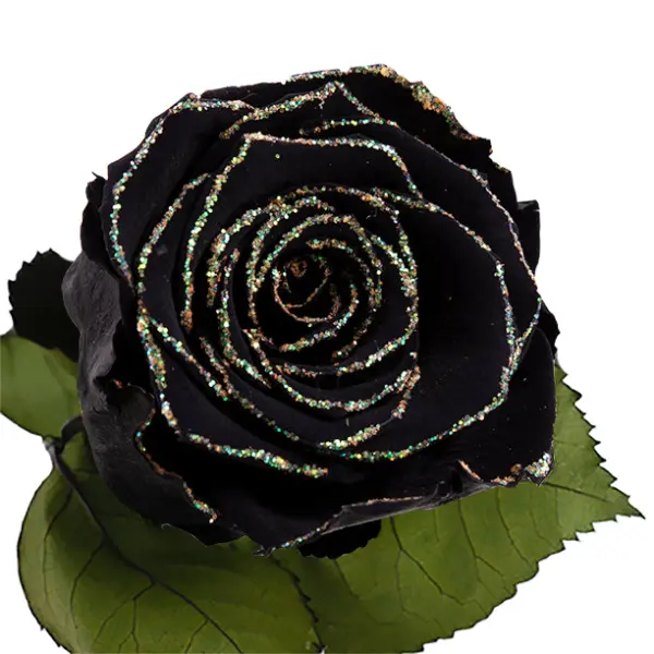 Longlife roos zwart groene glitter