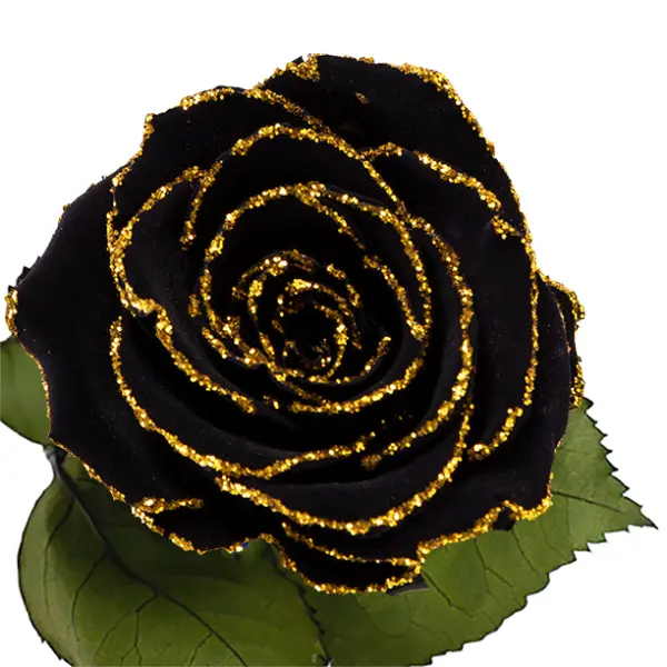 Longlife roos zwart gouden glitter