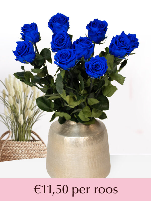 Blauwe long life rozen - Kies je aantal van 5 t/m 20