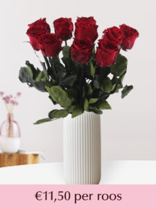 Vorige productafbeelding