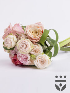 Volgende productafbeelding