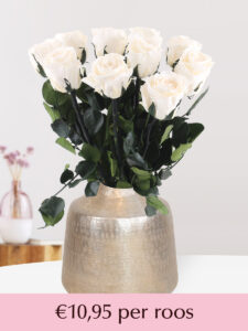 Volgende productafbeelding