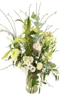 Vorige productafbeelding