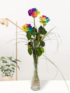 Volgende productafbeelding