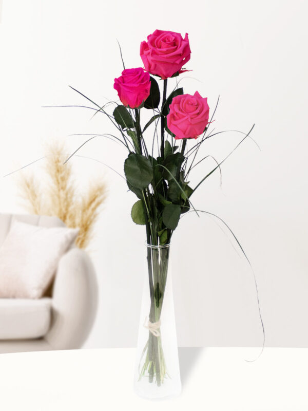 Drie roze long life rozen inclusief vaasje