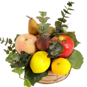 Product afbeelding