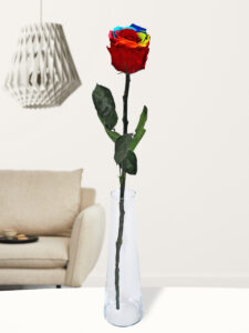 Volgende productafbeelding