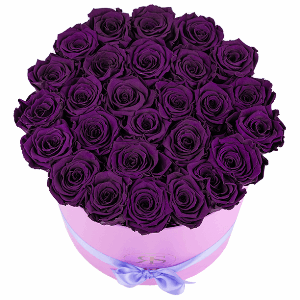 Flowerbox longlife Aaliyah