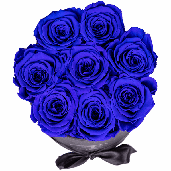 Flowerbox longlife Gigi donkerblauw