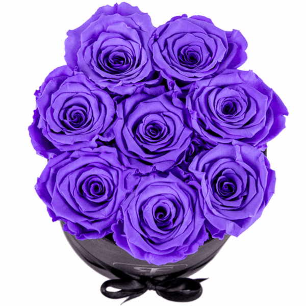 Flowerbox longlife Gigi paars