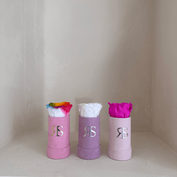 Flowerbox longlife Ivy 3-pack