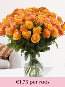 Volgende productafbeelding