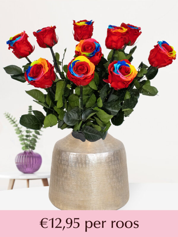 Regenboog long life rozen - Kies je aantal van 5 t/m 20