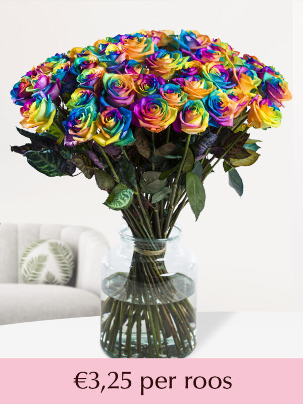 Regenboog rozen - XL rozen - 10 t/m 49 rozen