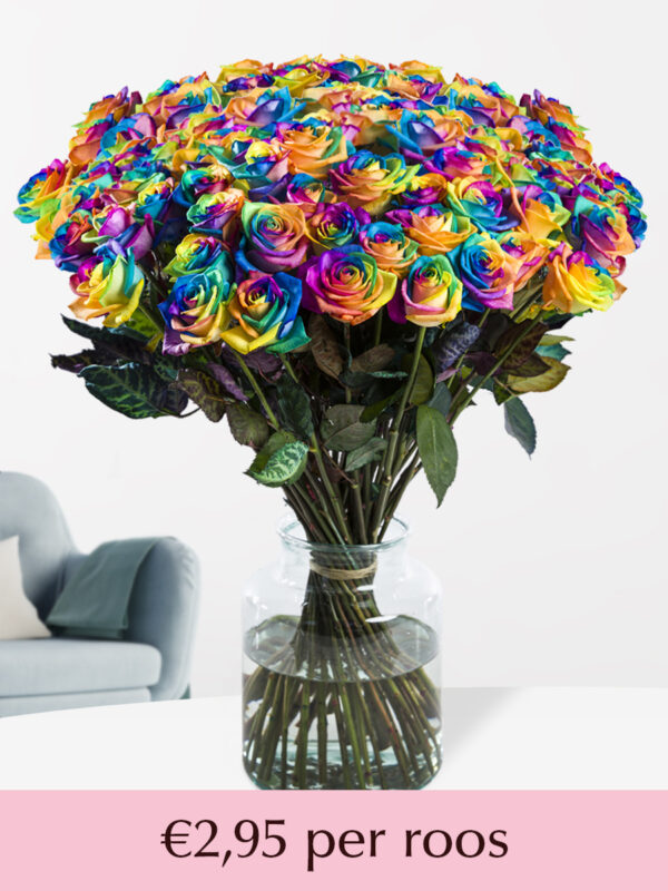 100 t/m 500 regenboog rozen - XL rozen