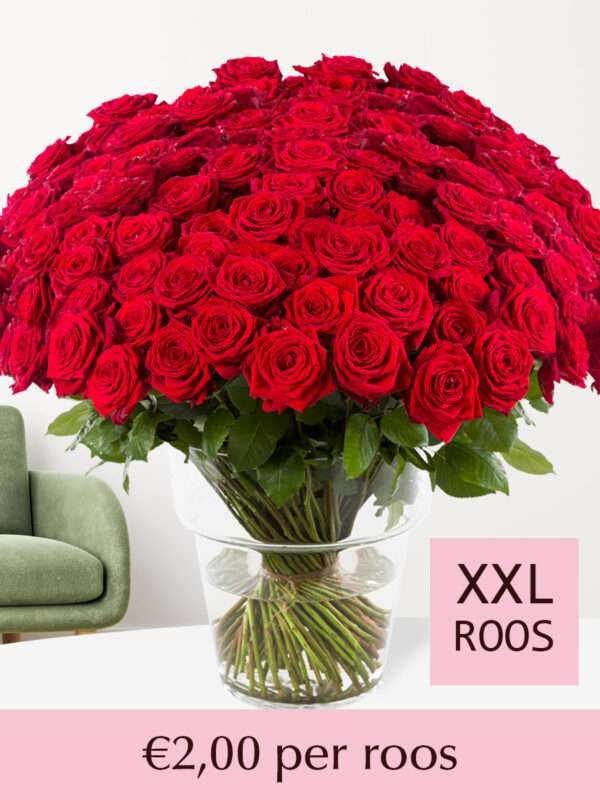 500 tot en met 1001 rode rozen - XXL rozen - Red Naomi