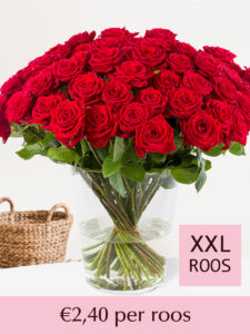 Vorige productafbeelding