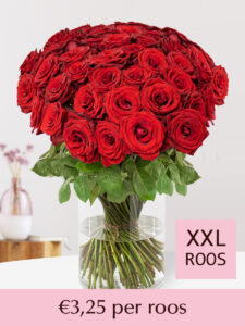 Vorige productafbeelding